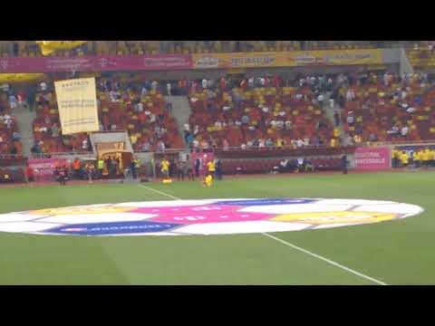 Jonglerii Florescu(Romanii au talent) la meciul Romania - Armenia