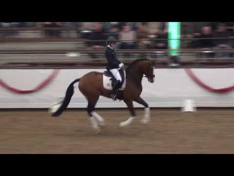 ZOOM & Beatrice Buchwald