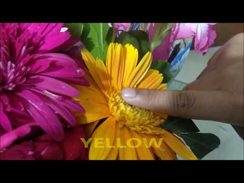 Kids colour learning with a lot of  beautiful Flowers II  Mubin & Mahmud toys review.