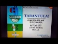 Noggin Tarantula Curriculum Board Late 2005 2009