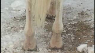 Bound And Determined 2