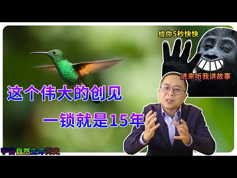 放置 意思