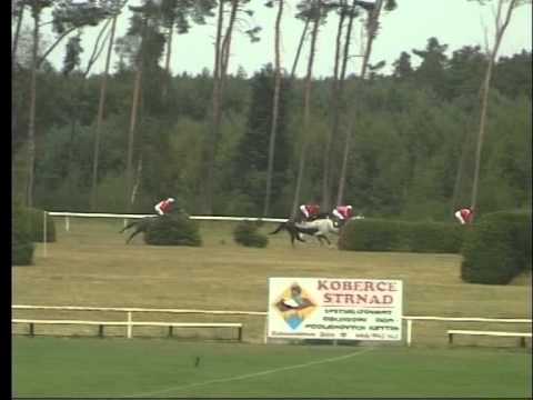 KO, 1. 8. 2015, 3. dostihy - CENA OBCE KLADRUBY NAD LABEM