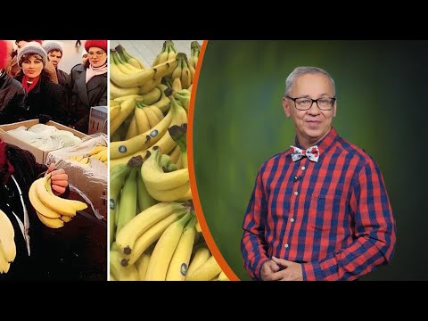 Всё обо всём. Бананы в СССР. Выпуск от 20.10.25