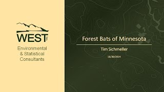 preview picture of video 'Overview of Forest Dwelling Bats in Minnesota 10-30-2014'
