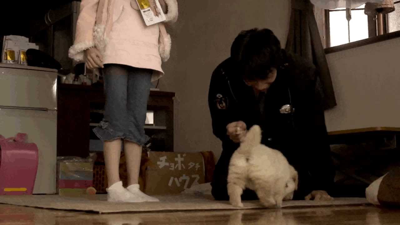 映画『犬のおまわりさん てのひらワンコ3D』予告編