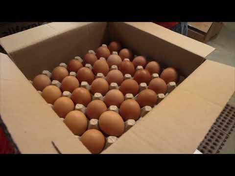 Gottheimer Grocery Prices