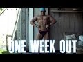 Natural Bodybuilding series 120 : 1 week out INBA world championships 2014