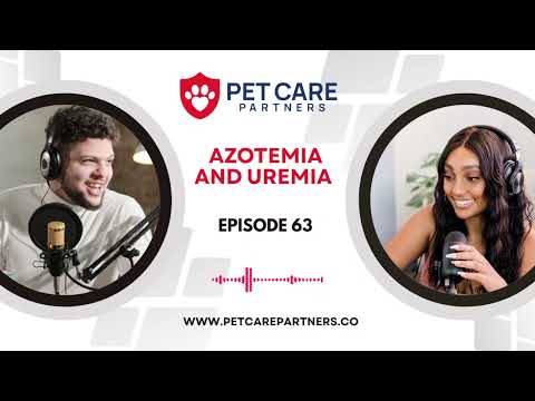 EP 63: Azotemia and Uremia in Canines and Felines: Pet Care Partners Podcast