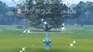 【ポケモンGO】週間リワード！予定外の副産物○○の色違い！【毎朝5分のポケモンGO実況】