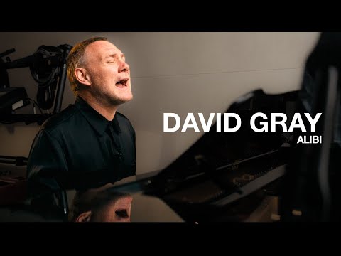 Alibi - David Gray