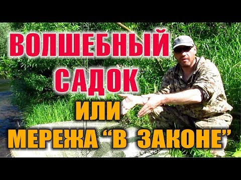 ЛОВУШКИ НА РЫБУ - РЫБОЛОВНЫЙ САДОК - МЕРЕЖА в законе. Как поймать рыбу без удочки. Бушкрафт.