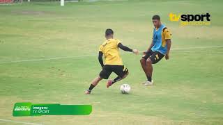 Adversário no ASA no Nordestão, Sport vive bom momento na temporada - 6/5/26