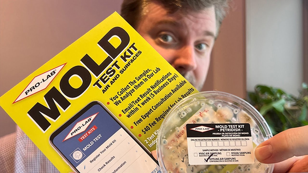 DIY Mold Testing: Conquer Hidden Mold with a Pro-Lab Mold Test Kit | The SandViking Starts Strong!