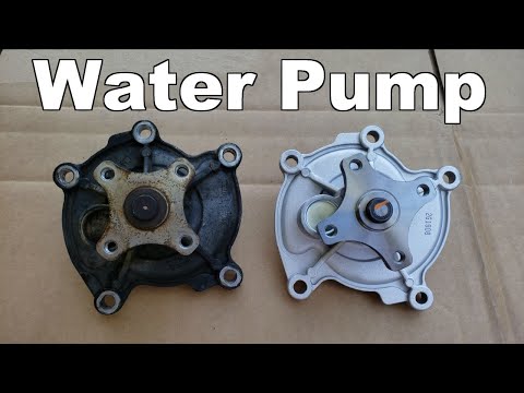 Wasserpumpenersatz Chevy Impala 3,5 l, 3,9 l 2006-2011