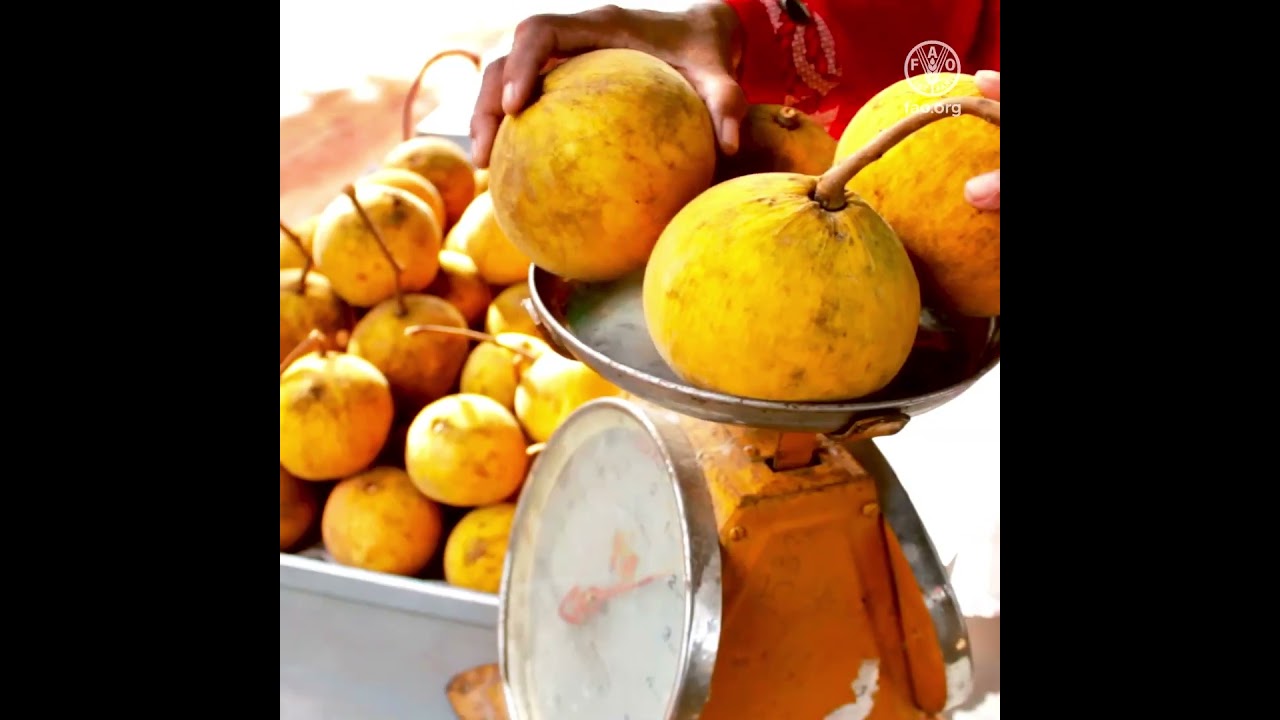 4 benefits of reducing food waste