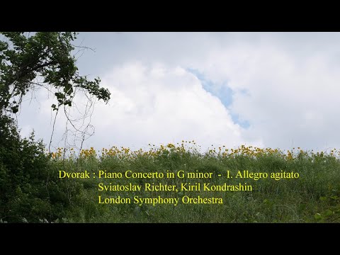 Dvorak : Piano Concerto in G minor  -  I. Allegro agitato