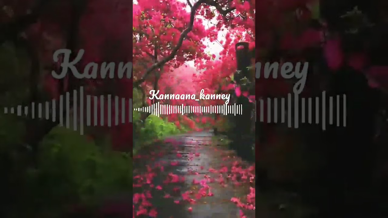 Kannaana Thaai Naadae Song Lyrics | Kanavu | M. L. Vasanthakumari