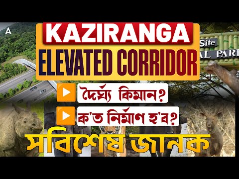 Kaziranga Elevated Corridor | Total length, Construction process, impact on buisness