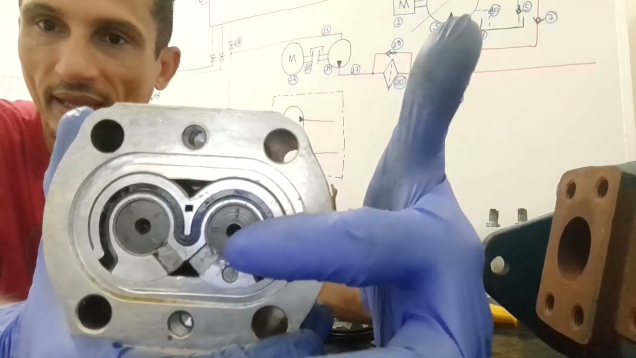 Componentes Internos de uma Bomba de Engrenagens