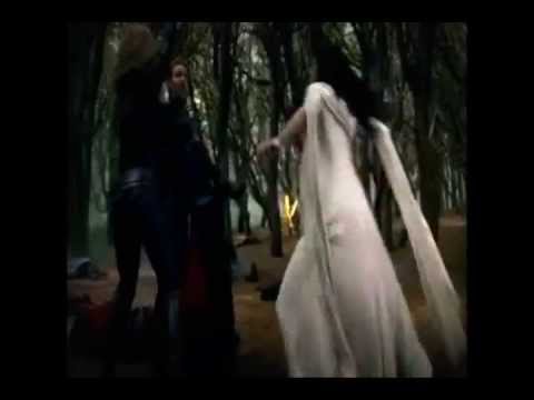 Legend Of The Seeker Save Our Seeker   The Fight Goes On SMGO tv