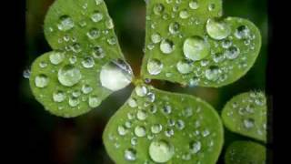 Melody Gardot - The Rain