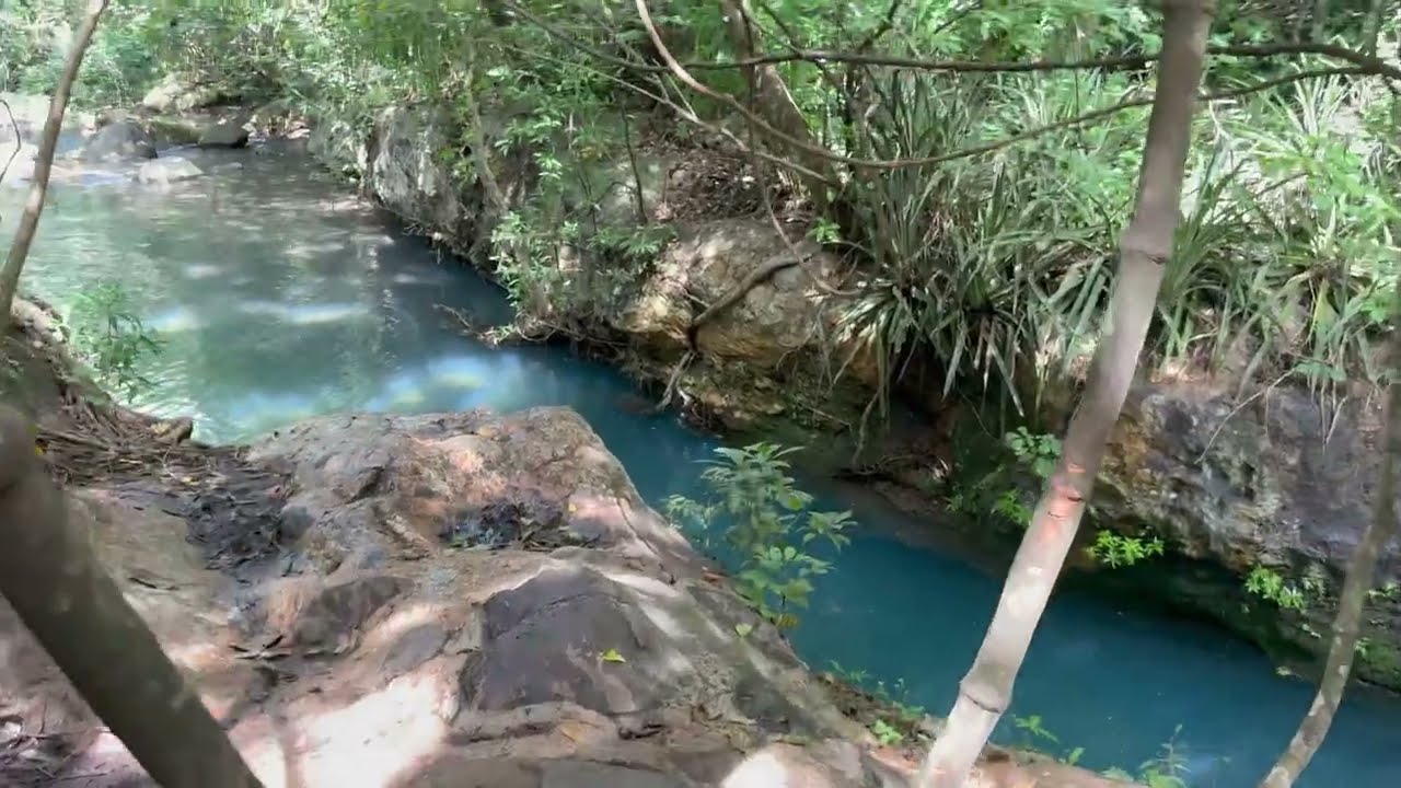 La Leona Waterfall Canyon Swimming Experience