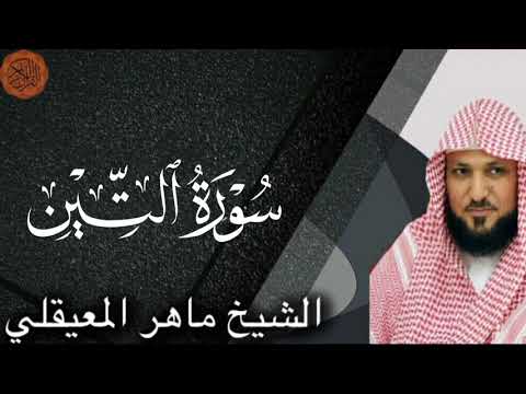 Sheikh Maher al Muaiqly Surah at-Tin