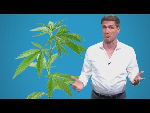 Can legal CBD products make you fail a drug test for work?