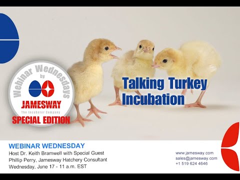 Webinar Wednesday 37 - Talking Turkey Incubation