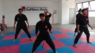 Download lagu SENDI HARIMAU |  SENAMAN ANAK HARIMAU 21-30 mp3