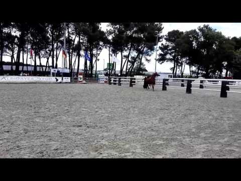 Tchaata Iniziato - Arabians Masters Bordeaux cl.6 males 3y 2nd 20mai 2017