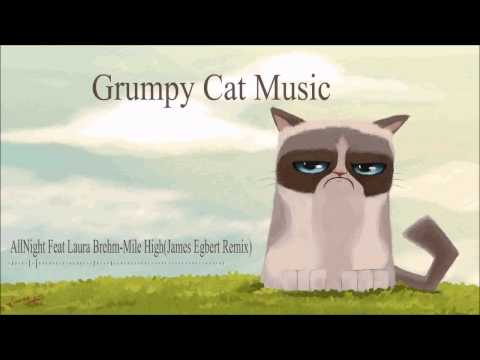 AllNight Feat Laura Brehm-Mile High(James Egbert Remix)