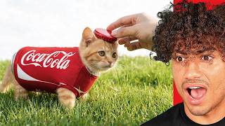 Download lagu WORLD'S FUNNIEST YOUTUBE SHORTS! mp3