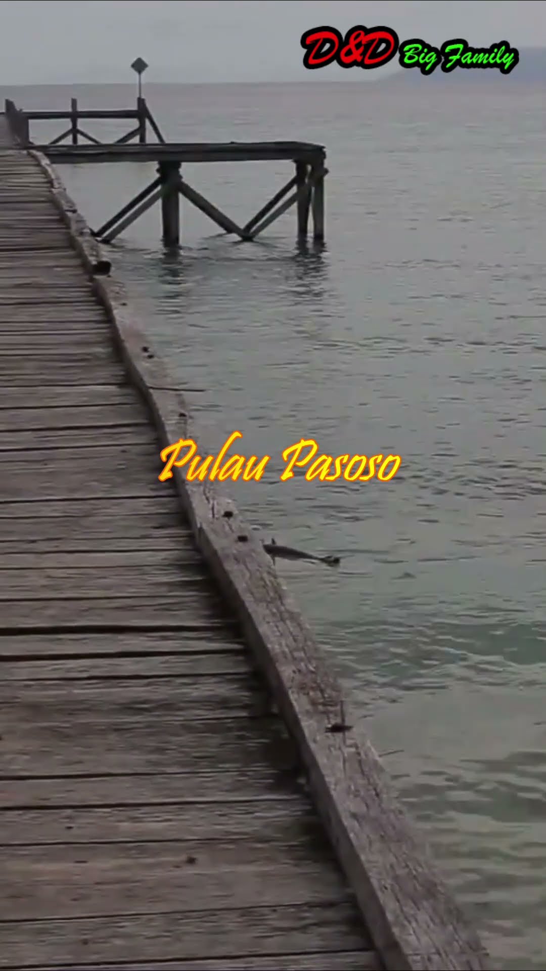 Jelajahi keindahan Pulau Pasoso di Donggala, Sulawesi Tengah! Tempat yang sempurna untuk liburan bersama keluarga. 🌊🌴