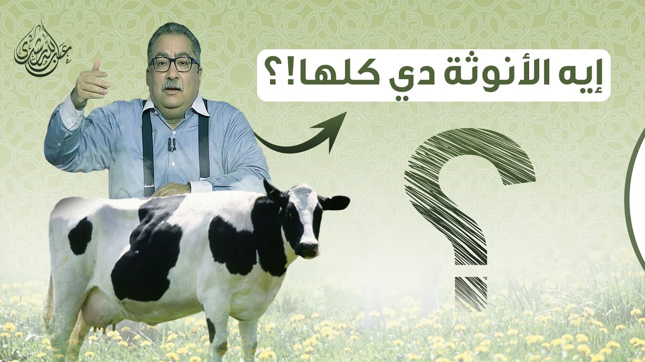 إبراهيم عيسى والبقرة المقدسة !