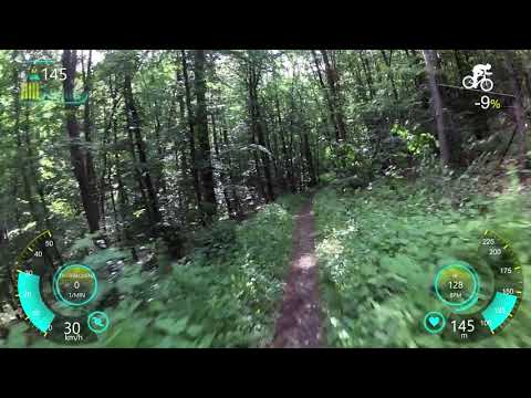 Lichtenberg singel Trail mit max. 36% Steigung