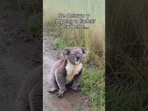 Me dio un abrazo como agradecimiento ❤️