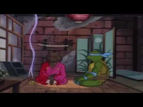 Ninja turtle meditation study music with Leonardo & master splinter ￼