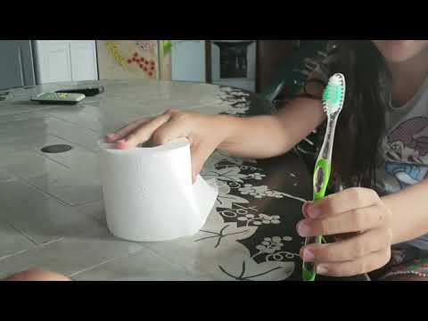 Lo spazzolino e la carta igienica