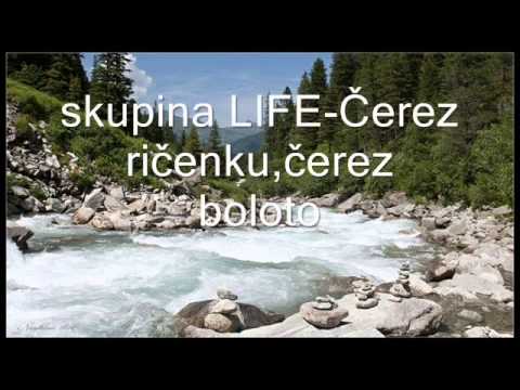 skupina LIFE-Čerez ričenku,čerez boloto