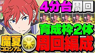 【光属性】これが一番強い！4分半で+891を爆速育成！育成枠2対応！代用&立ち回り解説！魔夏の+限界突破コロシアム【パズドラ】