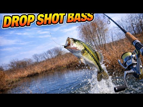 "Nobody Ever Fishes Here But......The Bass Are Hungry!"