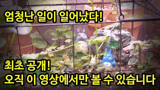 상토를 그냥 놔두면 생기는 놀라운 일