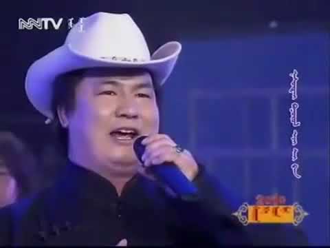 Нарийн хөх морь