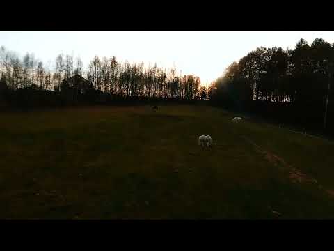 JOLINKOWO - magiczna agroturystyka