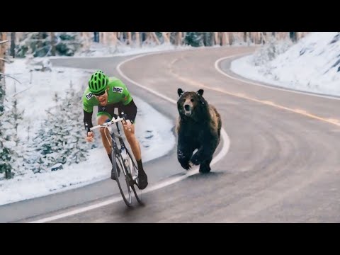 Fails of The Week  😂  EP:26  |  Funny Fails  #failsarmy