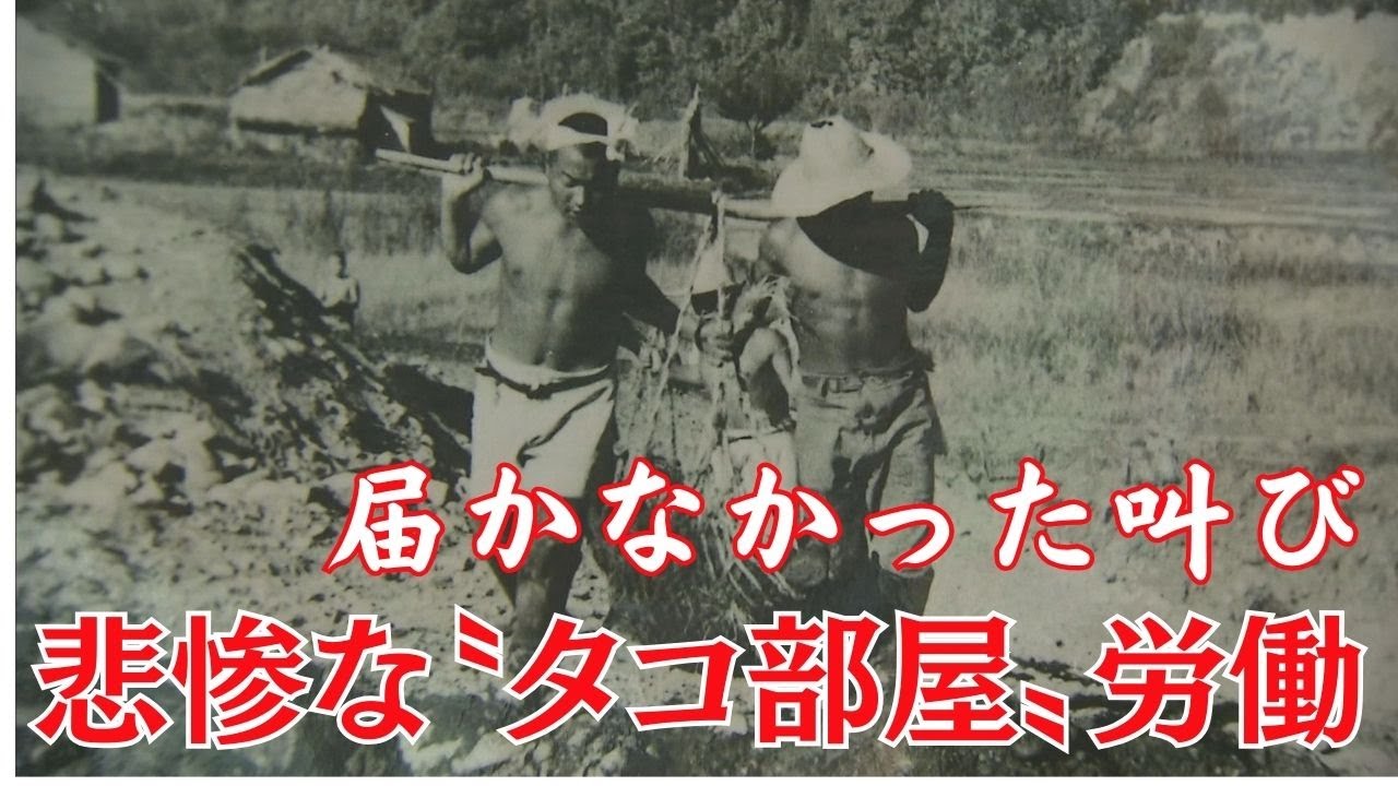 闇に葬られた叫び　戦中のタコ部屋労働者～戦後70年　伝え遺す