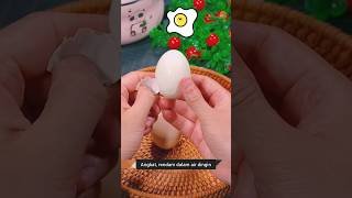 Download lagu Tips merebus telur agar matang dengan benar dan tetap sehat#tips#like#shorts mp3