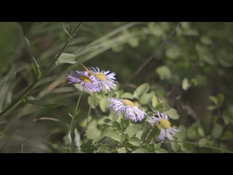 Mary Zilba - Are You Sorry Now